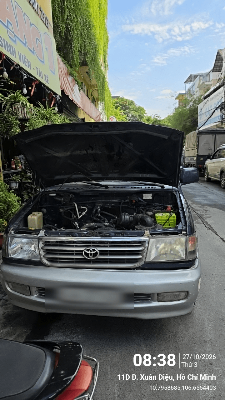 Hình ảnh cứu hộ