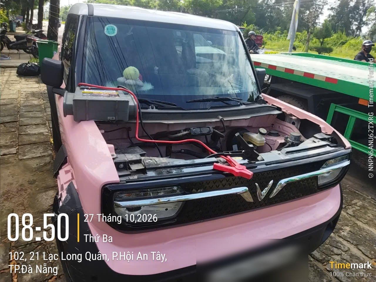Hình ảnh cứu hộ