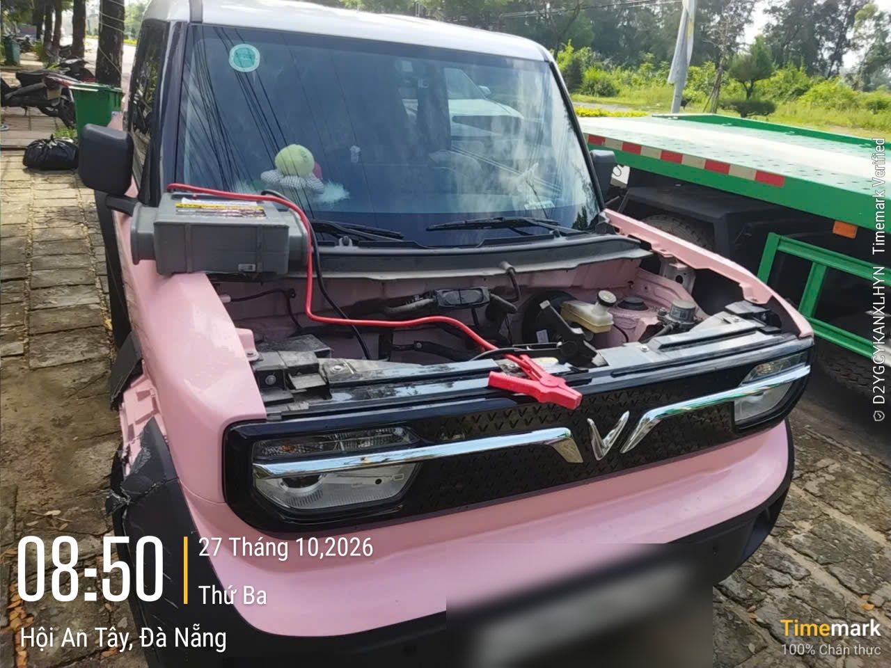 Hình ảnh cứu hộ