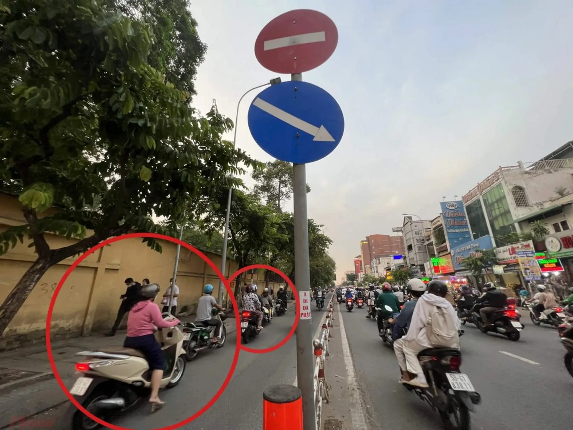 Lỗi đi ngược chiều: Mức phạt ô tô, xe máy mới nhất